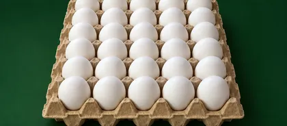 Huevos Coliumo primera blanco